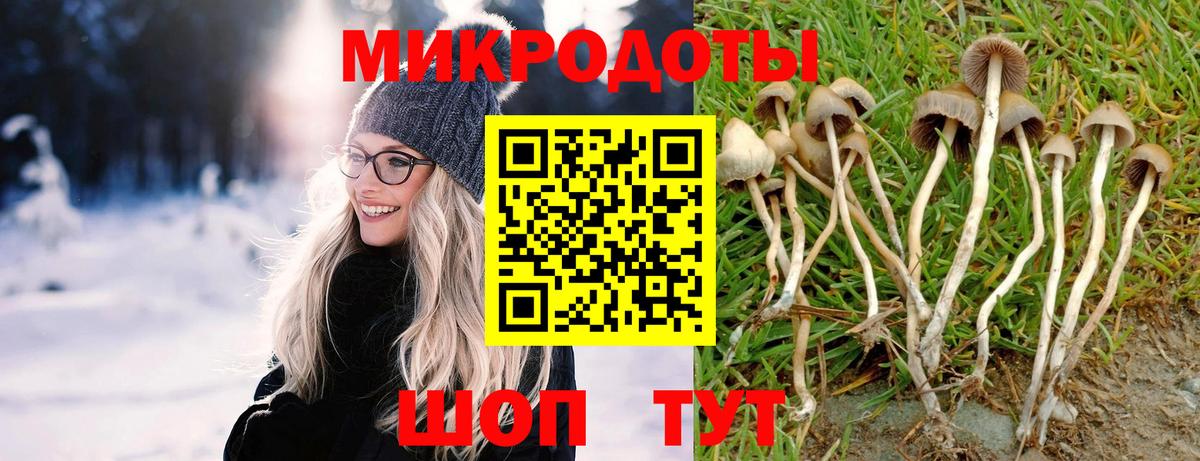 Галлюциногенные грибы мицелий  Вход с VPN  Нерюнгри  Псилоцибиновые грибы прущие грибы 